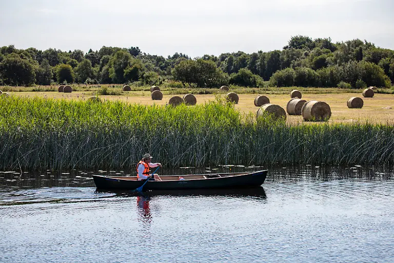 Bild-42-von-50-2018-07-04-007