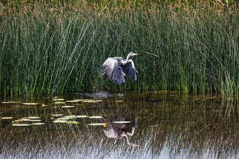 Bild-41-von-50-2018-07-04-004