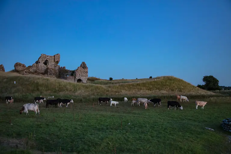 Bild-39-von-50-2018-07-03-088