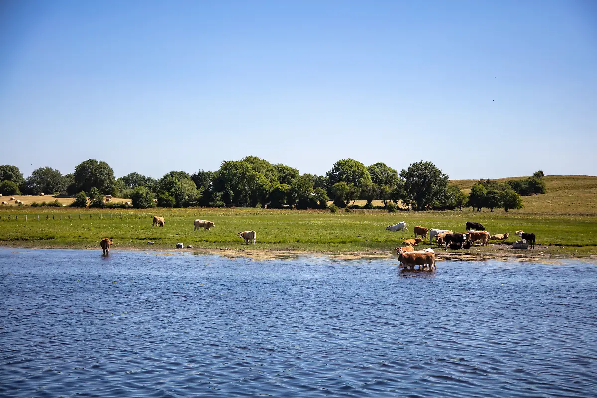 Bild-29-von-50-2018-07-03-054