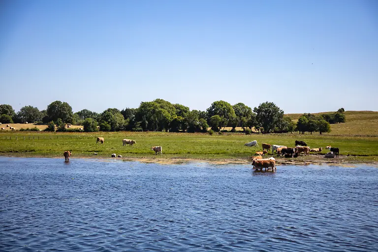 Bild-29-von-50-2018-07-03-054