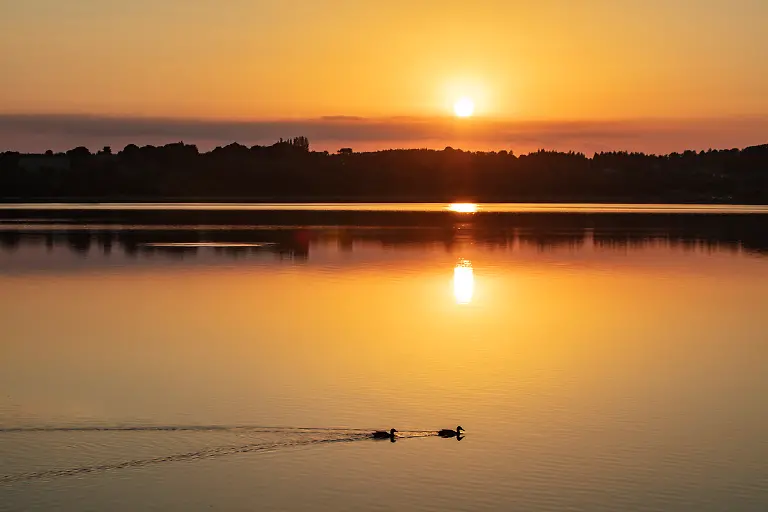 Bild-20-von-50-2018-07-02-061