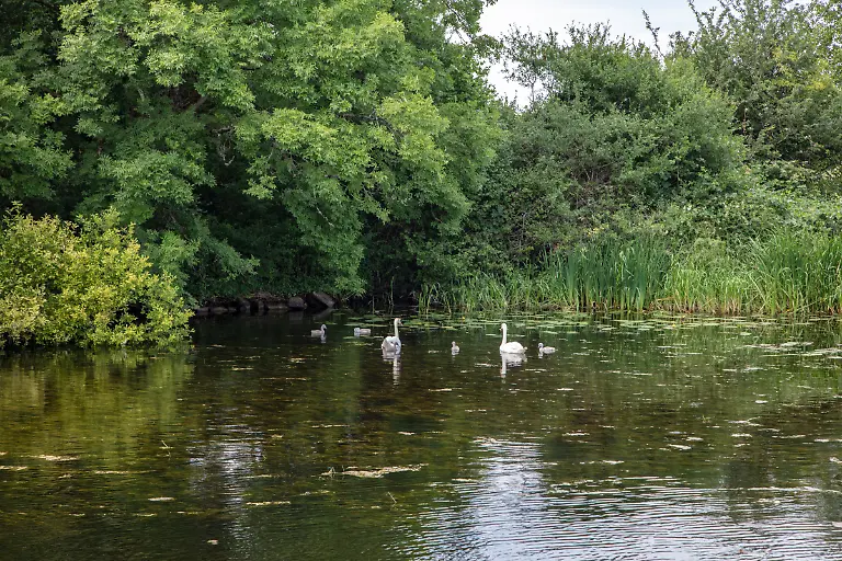Bild-08-von-50-2018-07-01-016