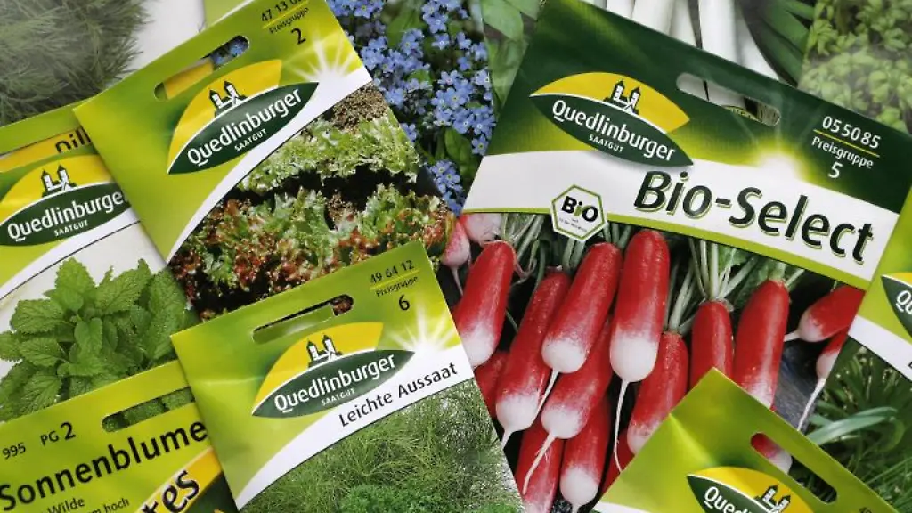 Tueten-mit-Saemereien-aus-der-Produktion-der-Quedlinburger-Saatgut-GmbH