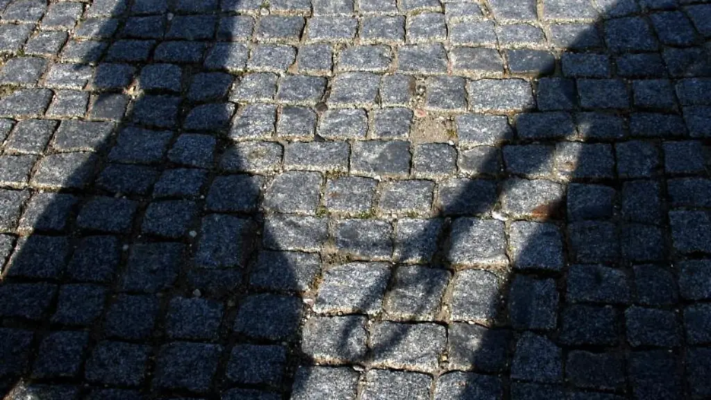 Ein-Hund-und-sein-Halter-werfen-ihre-Schatten-auf-das-Pflaster-einer-Strasse