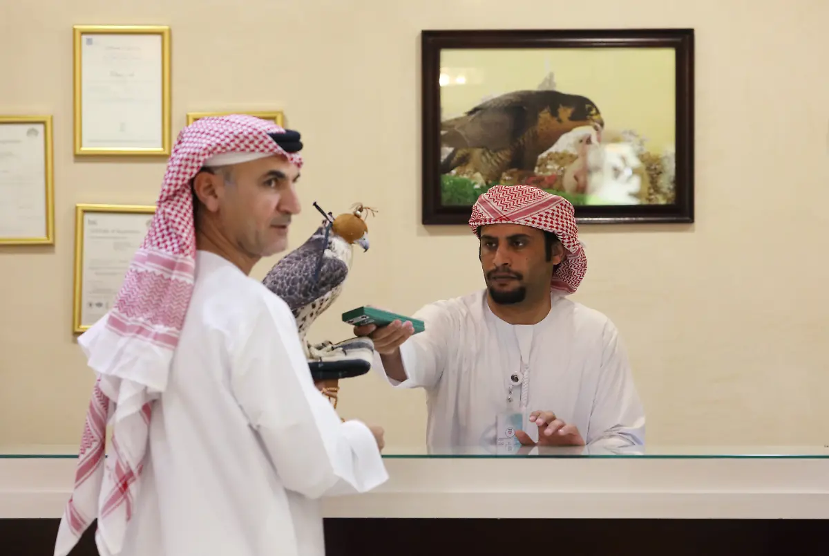 8895ddccb65bbc7d17d6ee0ec70fc5ca