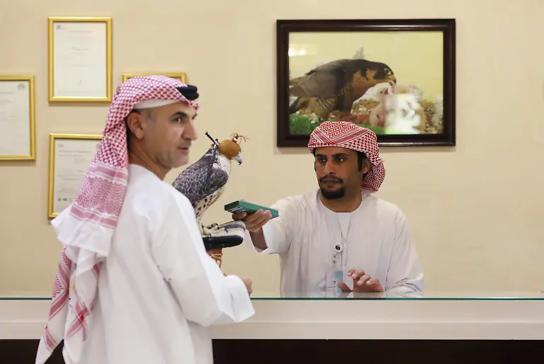 8895ddccb65bbc7d17d6ee0ec70fc5ca