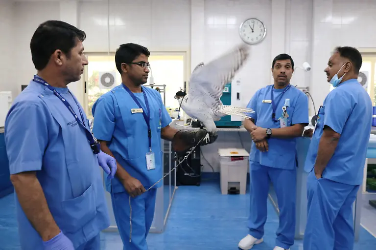 a5651ca00df5565afe889fa0f300f005