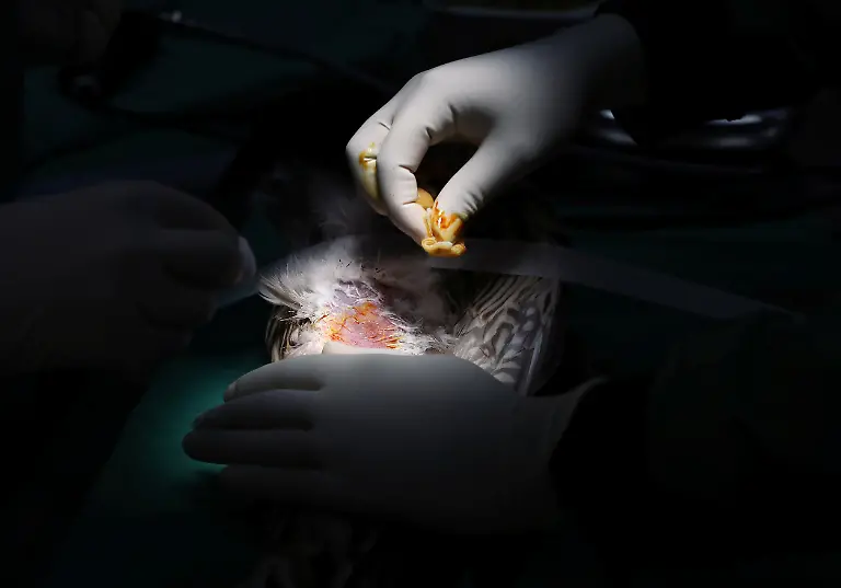 b63c2a317c9ceef32d34924029225784