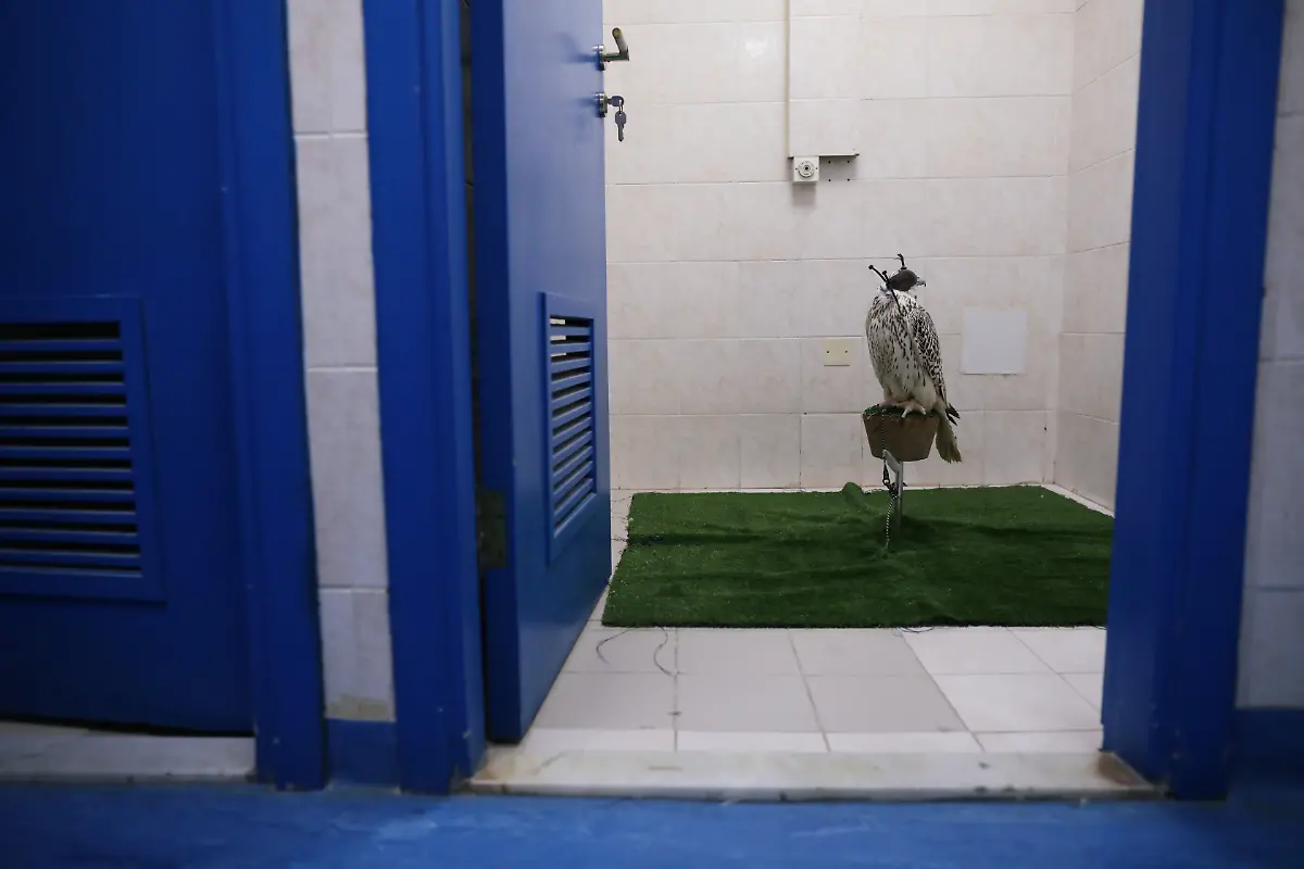 23c1dbbd3255a9acb4e35bed458b8f60