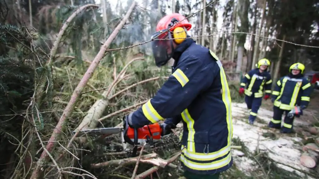Feuerwehrleute-beseitigen-Sturmschaeden