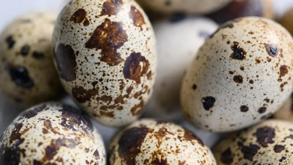 Wachteleier-liegen-auf-einem-Tisch