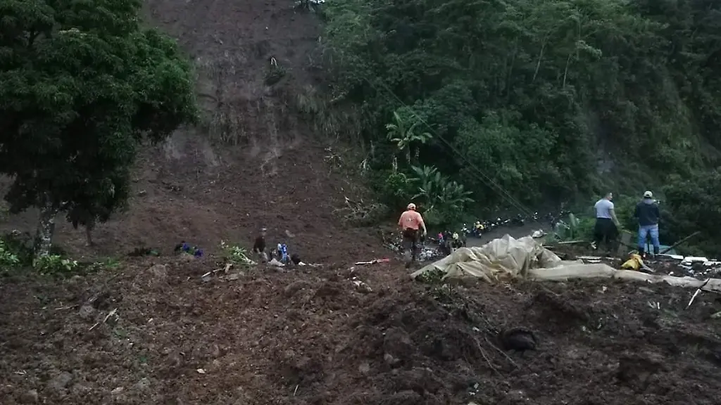 029c399df2944036841528e71a8003d8