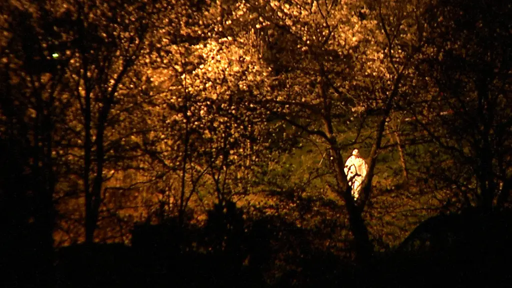 dfa9a6aa688eecc44775dc6ff427493a