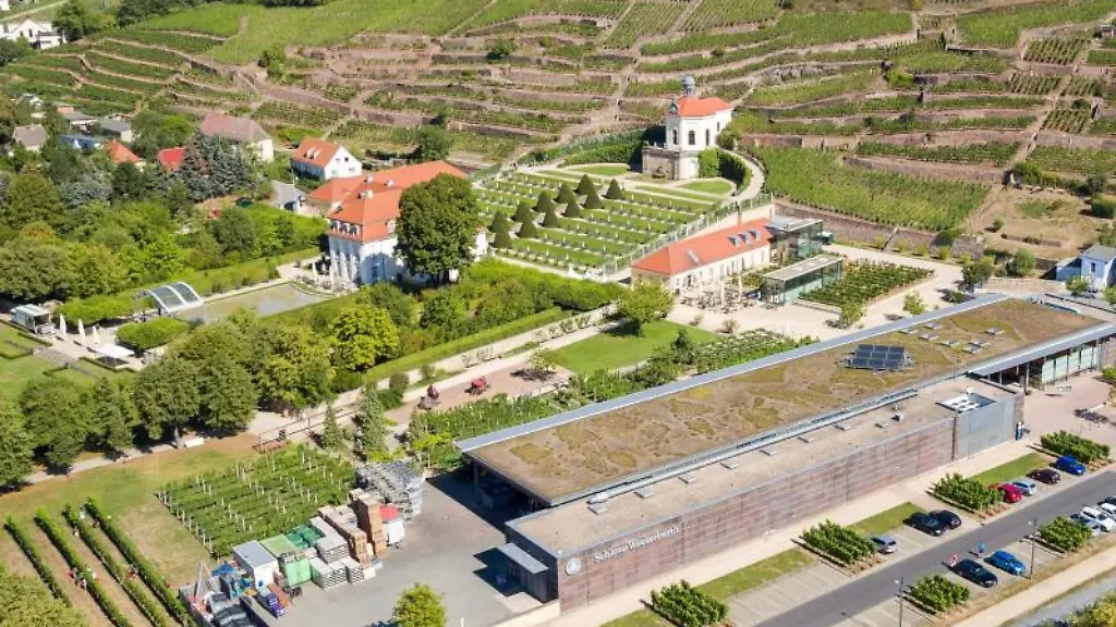 Die-Weinberge-und-der-Barockgarten-von-Schloss-Wackerbarth