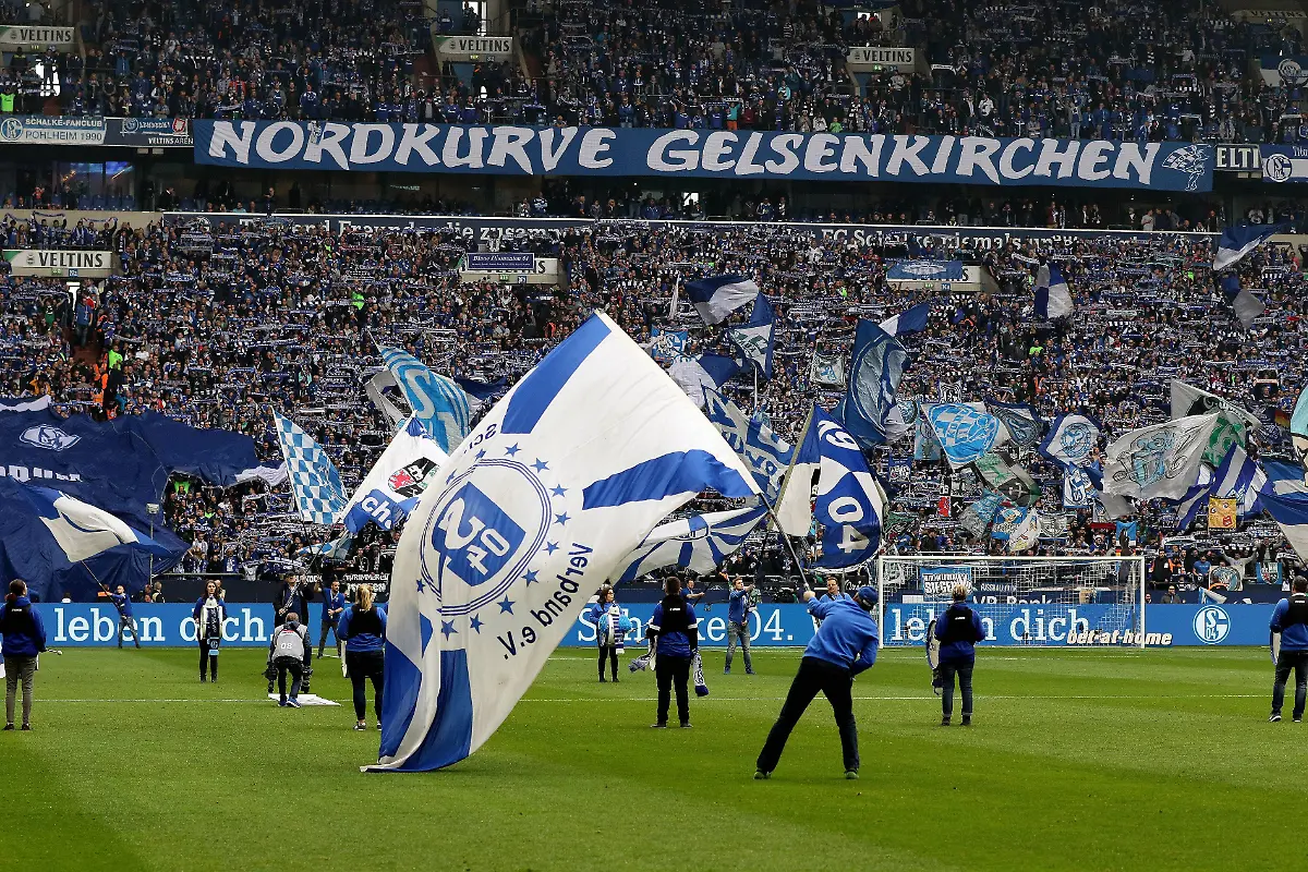 7298ed374635c5eb40e7c10638206083