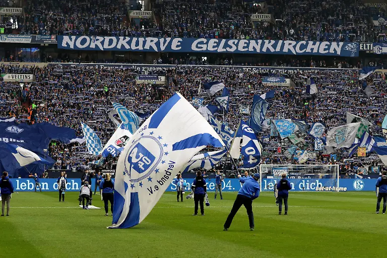 7298ed374635c5eb40e7c10638206083