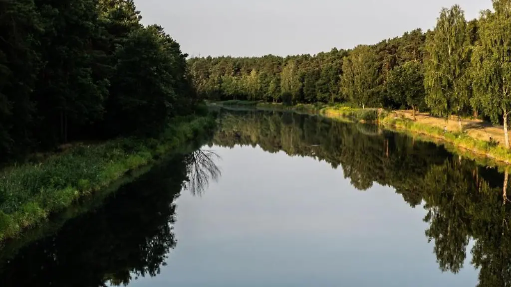 Die-Baeume-am-Oder-Havel-Kanal-spiegeln-sich-im-Wasser
