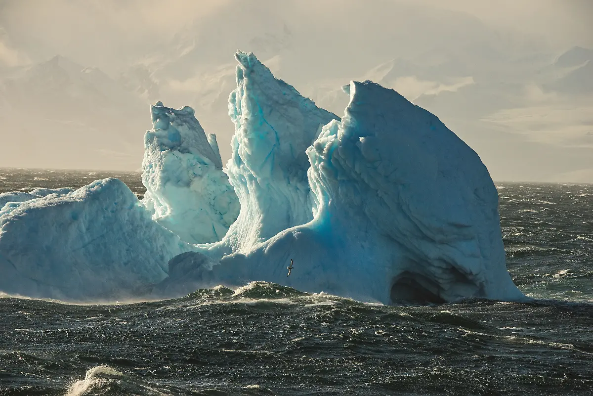 022-Antarctica2015-DSC-2258