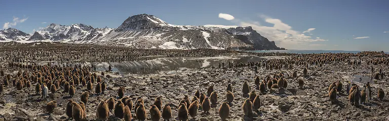 OURPLANET-LP-OLIVERSCHOLEY