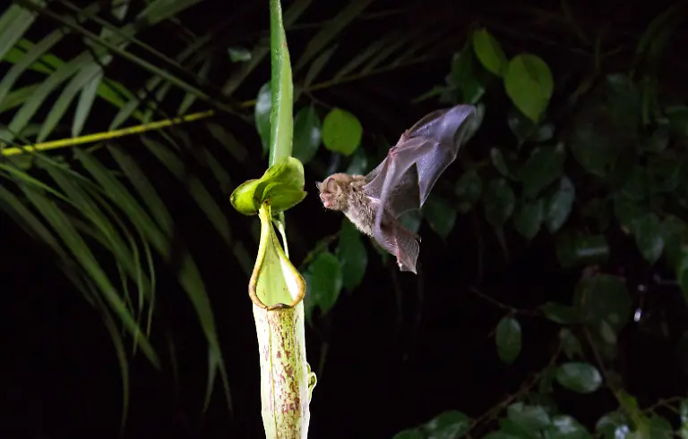 OURPLANET-LJ-BENMACDONALD