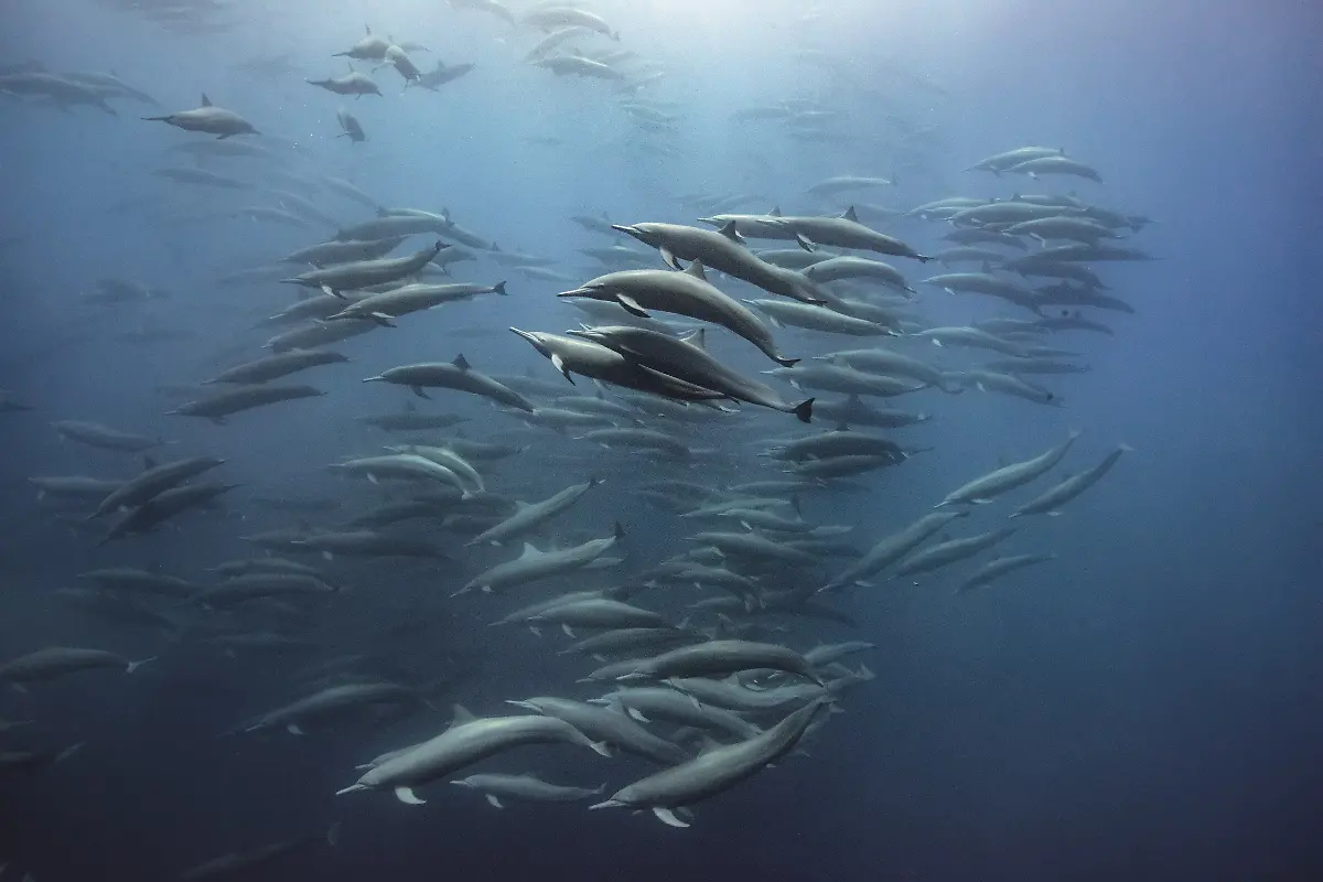 OURPLANET-LD-HUGHPEARSON