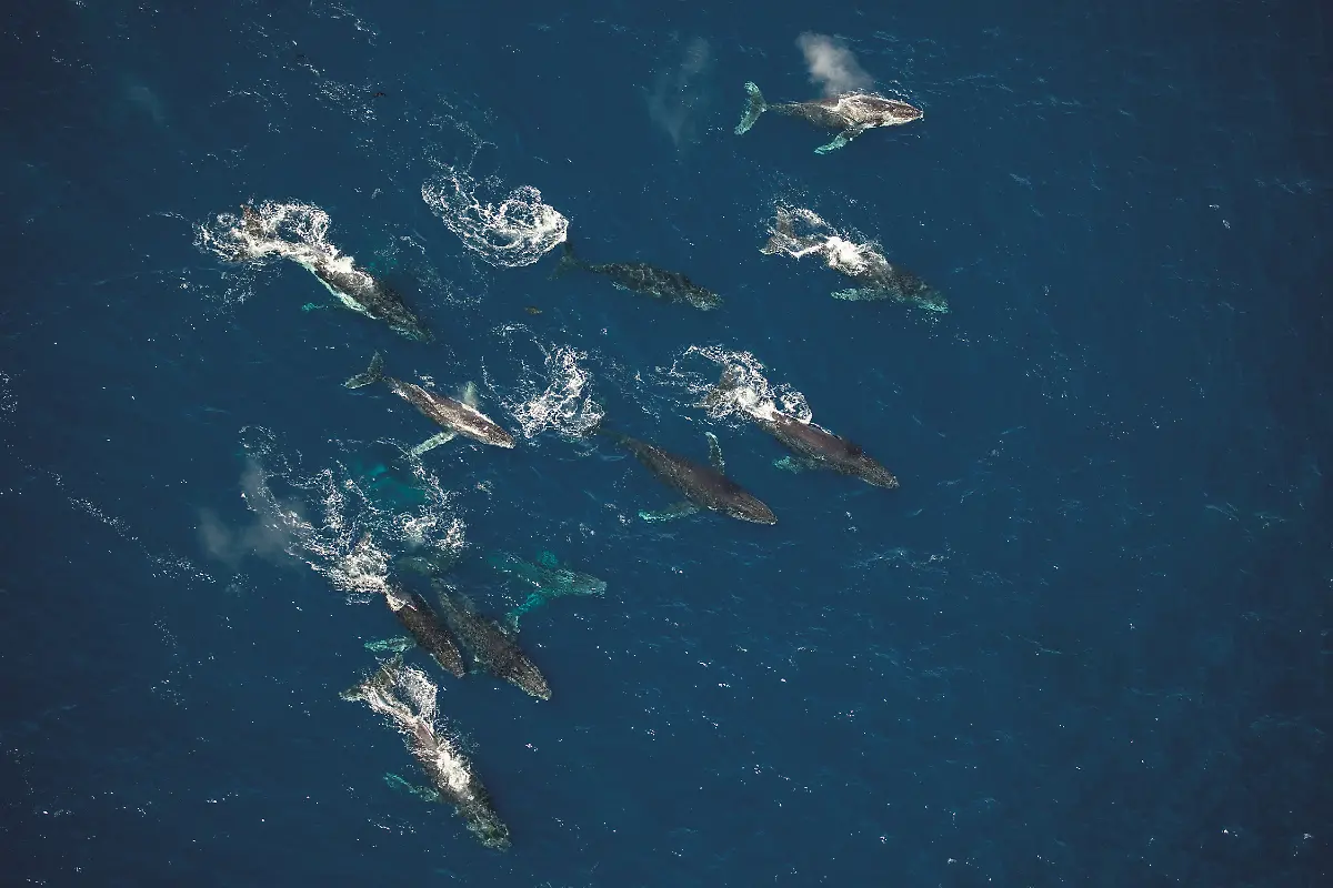 OURPLANET-LD-DANRASMUSSEN