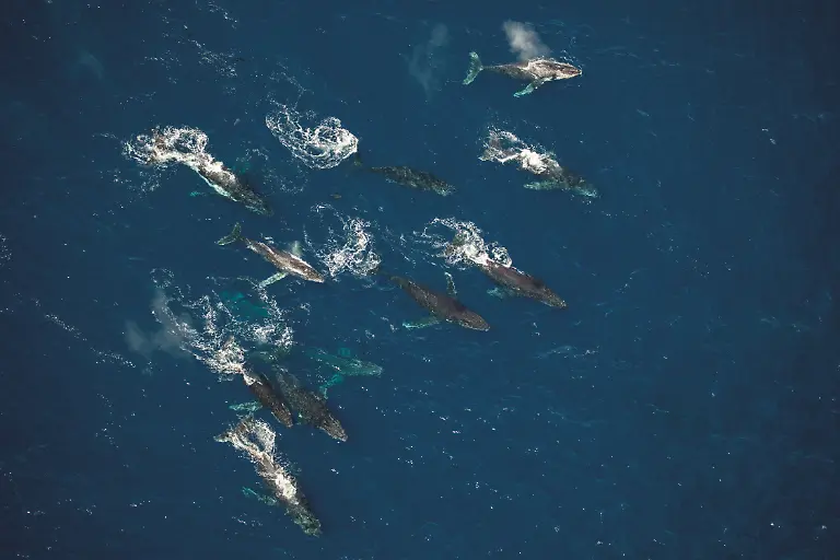 OURPLANET-LD-DANRASMUSSEN