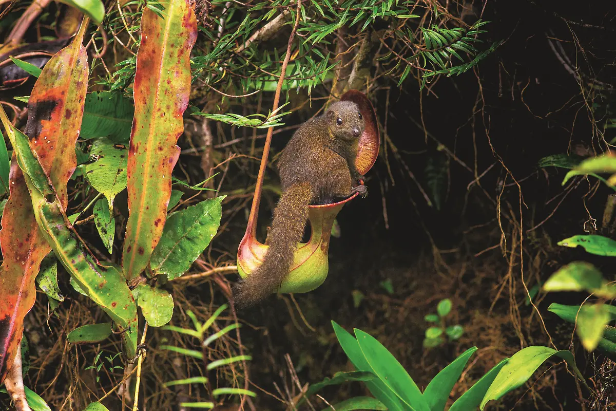 226-227-LJ063-0M8A8841-BENMACDONALD