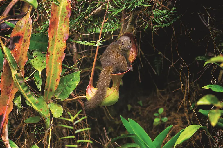 226-227-LJ063-0M8A8841-BENMACDONALD