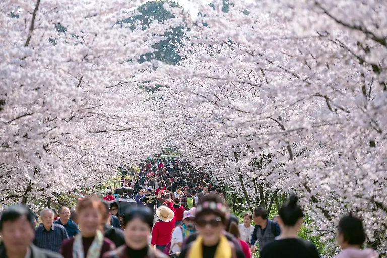 cf0a861d598969155473e33829aef13e