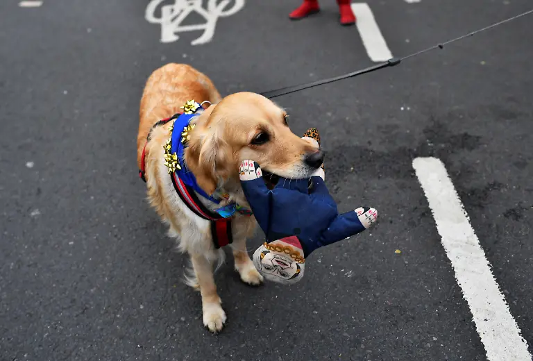 29aabb9ec50635ada8a58175628aabb4