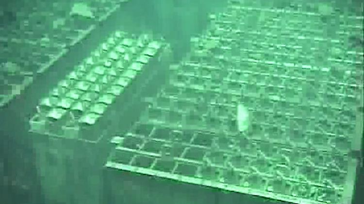 Videobilder aus Reaktor 4: Der Katastrophenmeiler Fukushima.