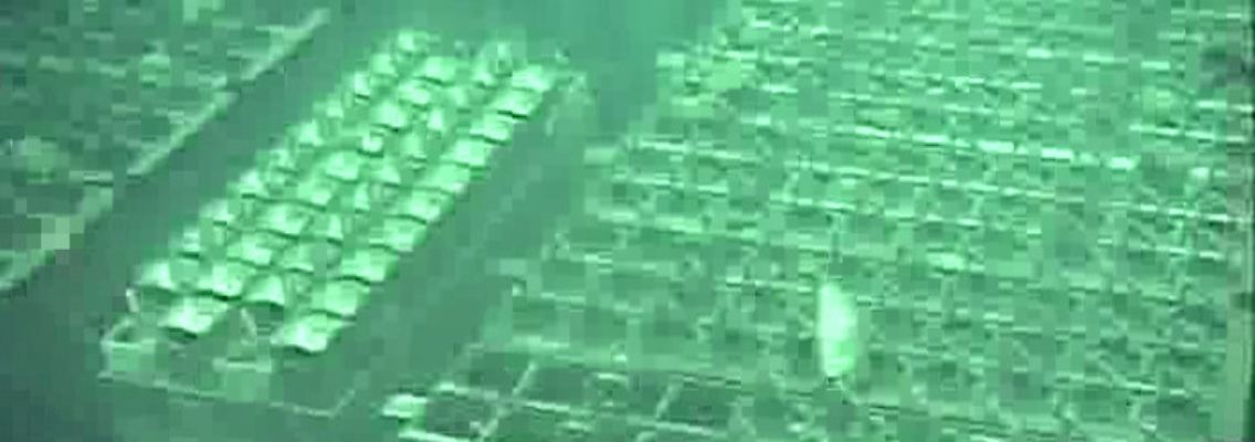 Videobilder aus Reaktor 4: Der Katastrophenmeiler Fukushima.