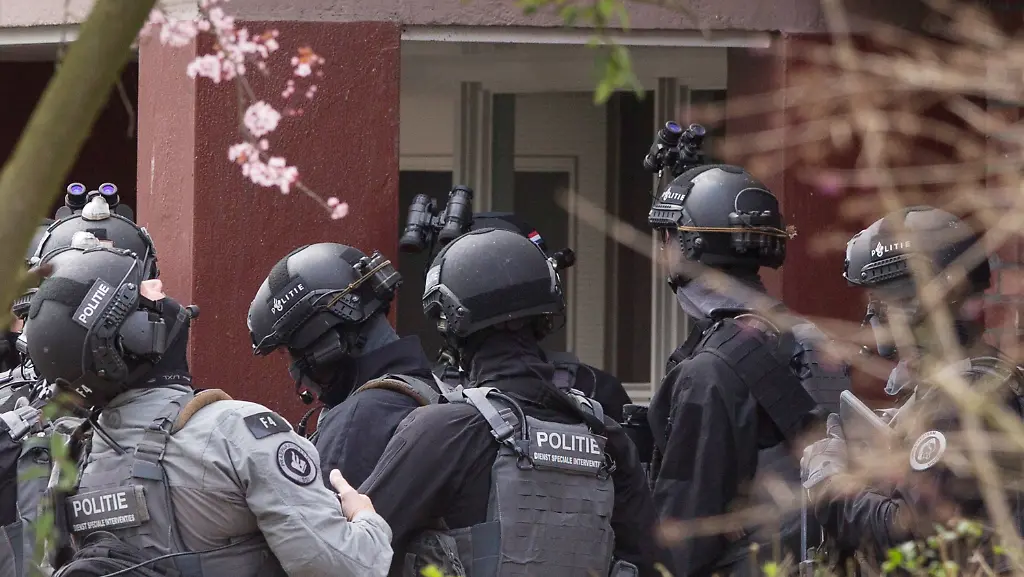 89930593f35baf602ab4f34d826867b5