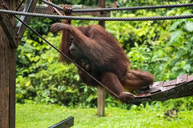 Bild-10-von-40-2019-01-25-013