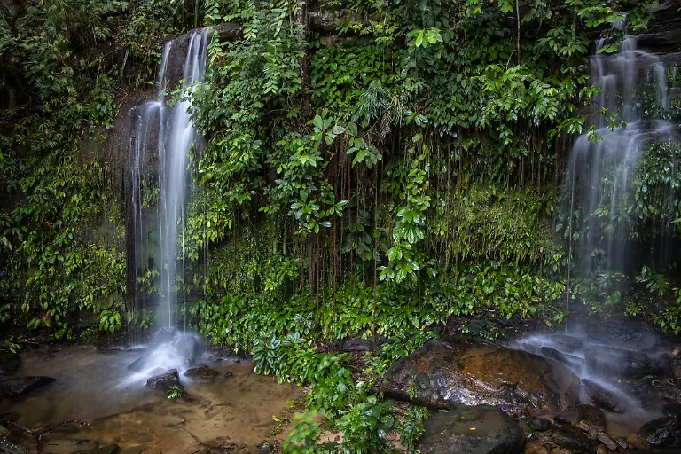 Bild-05-von-40-2019-01-21-022