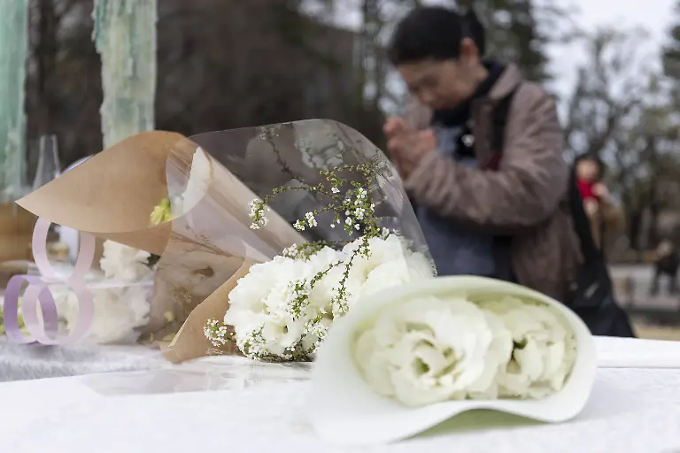 80b229986d3075a6893d7998d70876b8