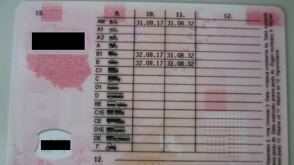 20190307-Fuehrerschein