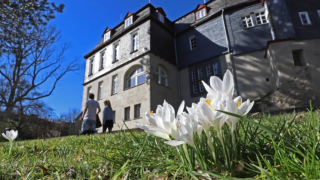 b50bb21897d7cdbb14c686a040490617