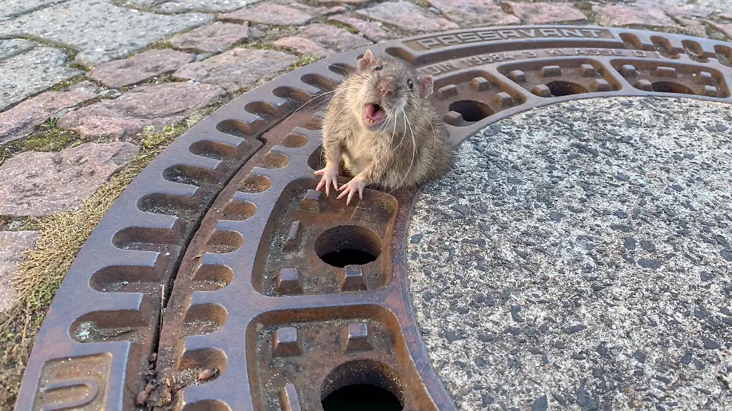 28f4b07bdebed4725bed5661008e9dc5