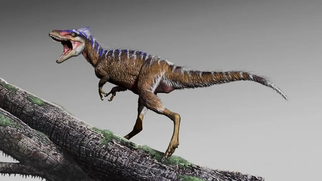 Moros-intrepidus-discovery-e1550769860272