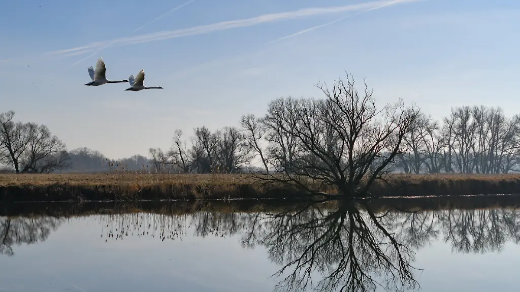 285c7ce93fc15748cdf9df47d20f9d1c