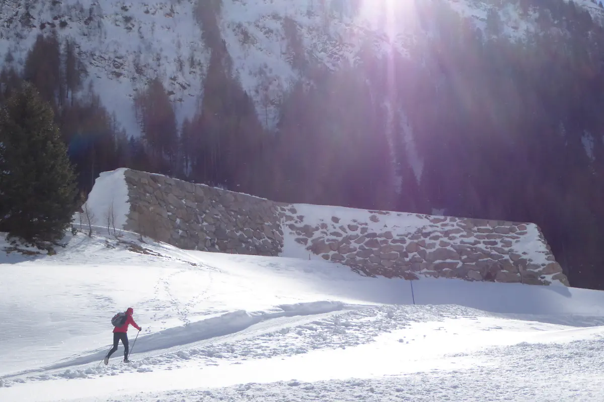 b837c5ef25ea95290ed9524f9c27b66c