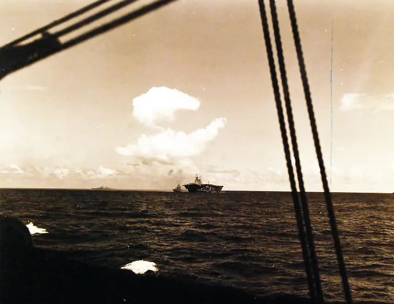 22495491763-610055a4da-o