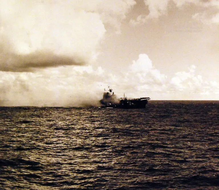 21109793650-0e967aca1c-o