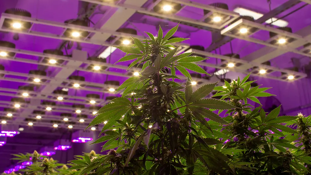 0f9cce457c69f9f2557042fabe14f808