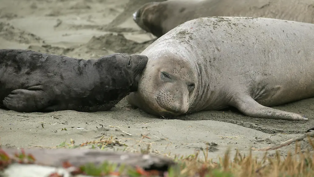 f48a104c17db1d1f9b345ae262d8ecdb