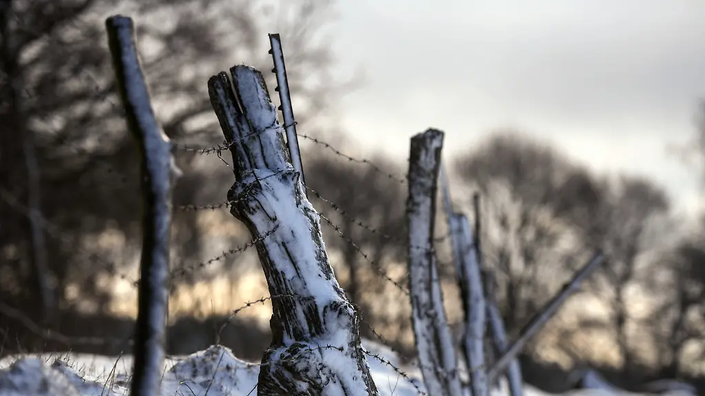 362336c8e9b09ecebe21486e011e5fa3