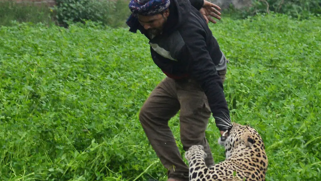 a2a30a29a868b2c32624118bbae50be4